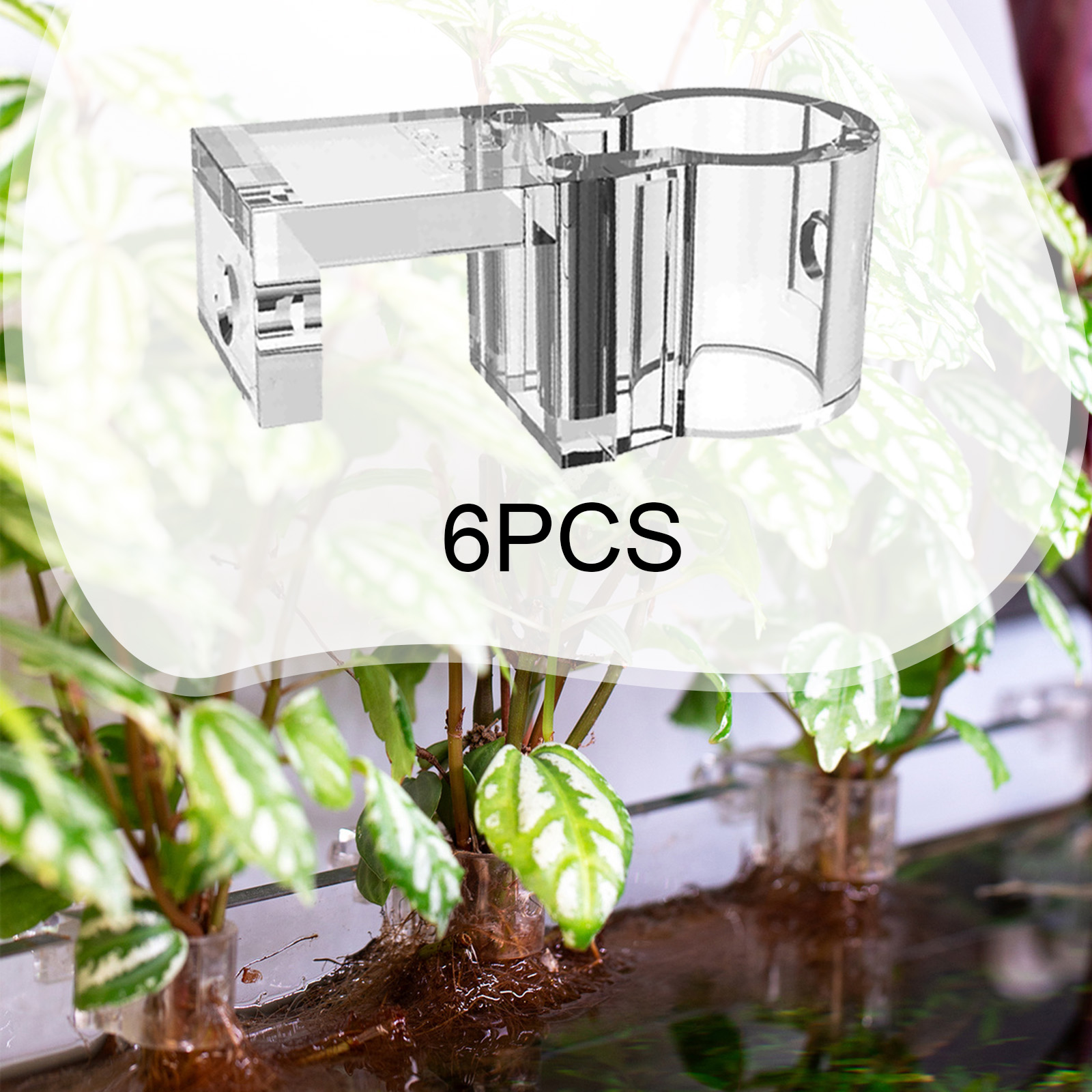 Aquarium Plants Live - 6Pcs Aquarium Plant Holder Support Cup