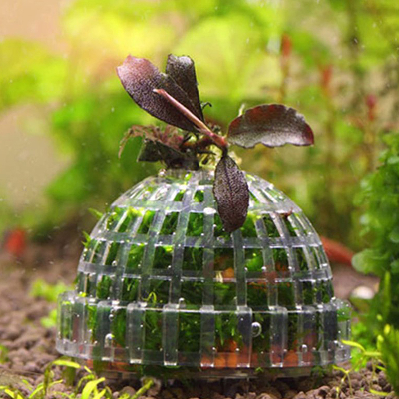 Live Plant Aquarium - .1Pc Aquatic Pet Supplies Decorations Aquarium