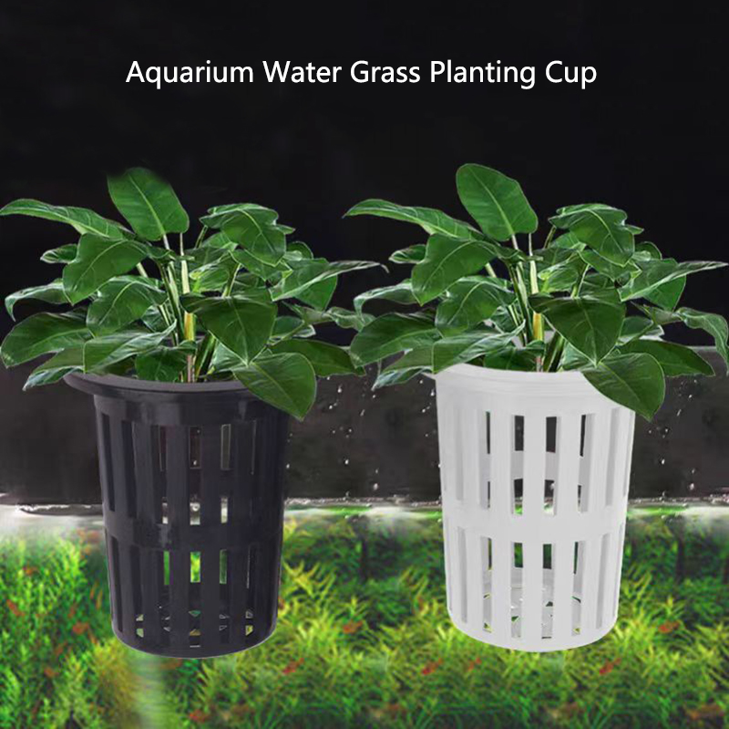 Aquarium Plants Live - 1/3Pcs Aquarium Plant Basket Wall-Mounted Hydroponic