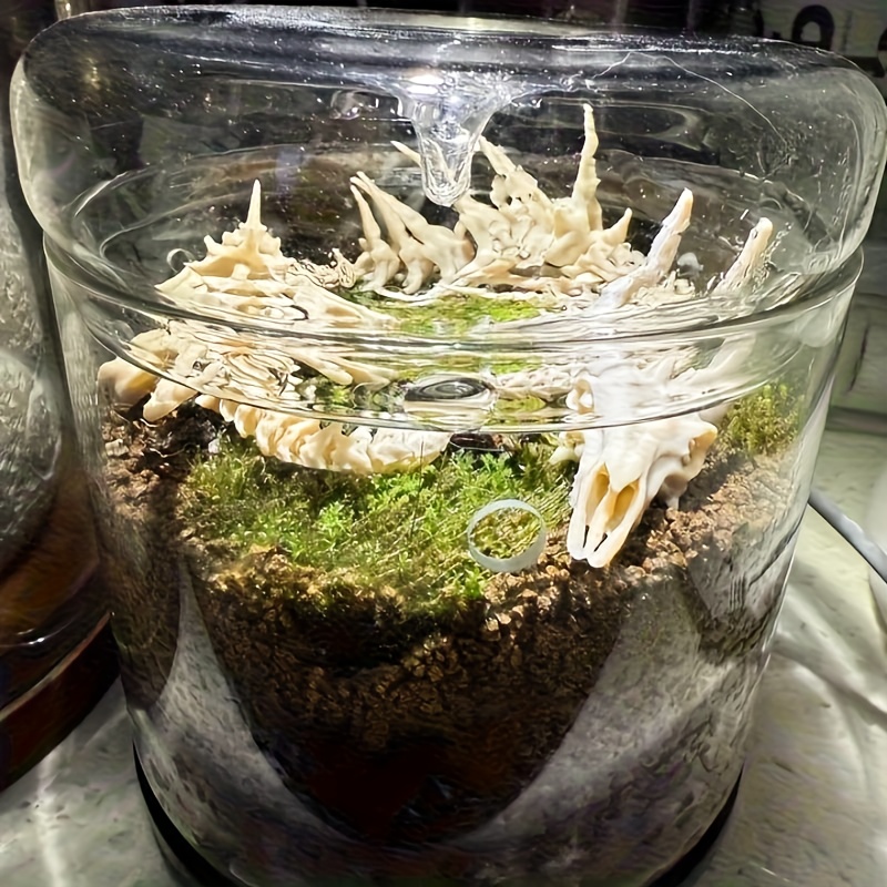 1pc Dragon-Shaped Fishbone Dec - Aquarium Plants Live 评论和价格