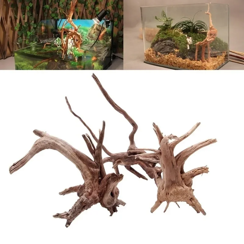 Natural Tree Trunk Driftwood A - Aquarium Driftwood 评论和价格