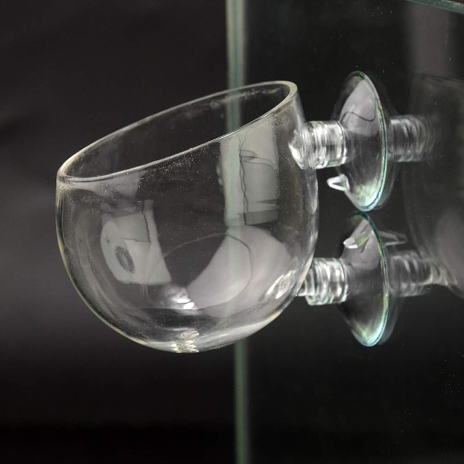 Aquarium Plant Holder Glass Aq - Aquarium Plants Live 评论和价格