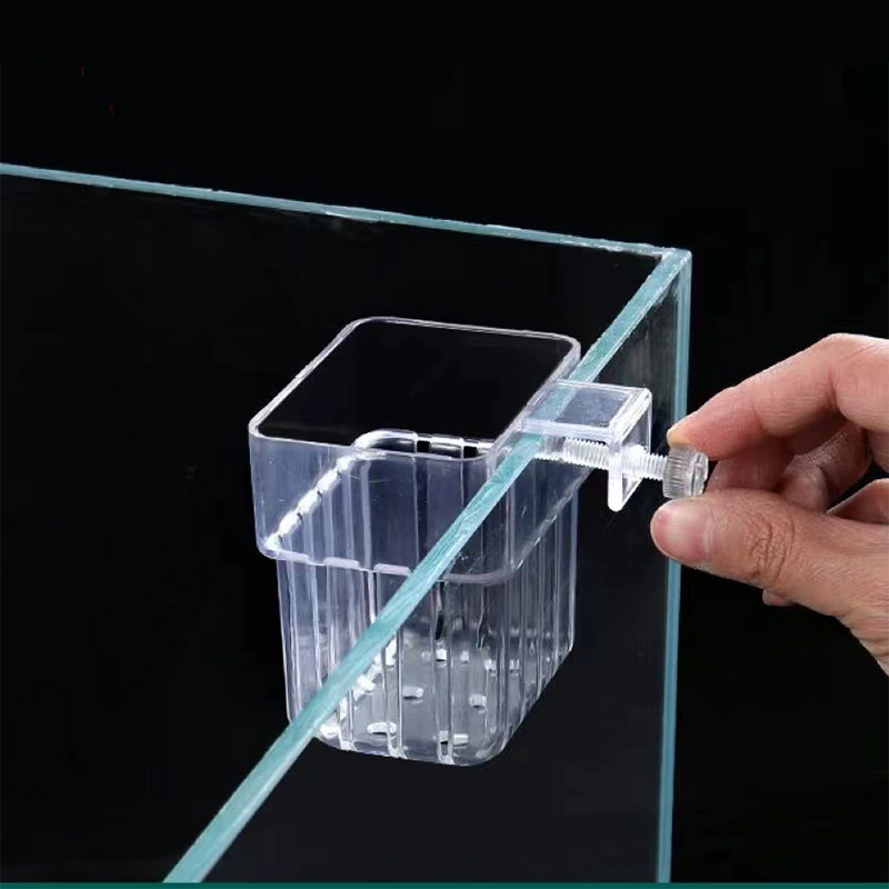 Aquarium Plant Holder Transpar - Aquarium Plants Live 评论和价格