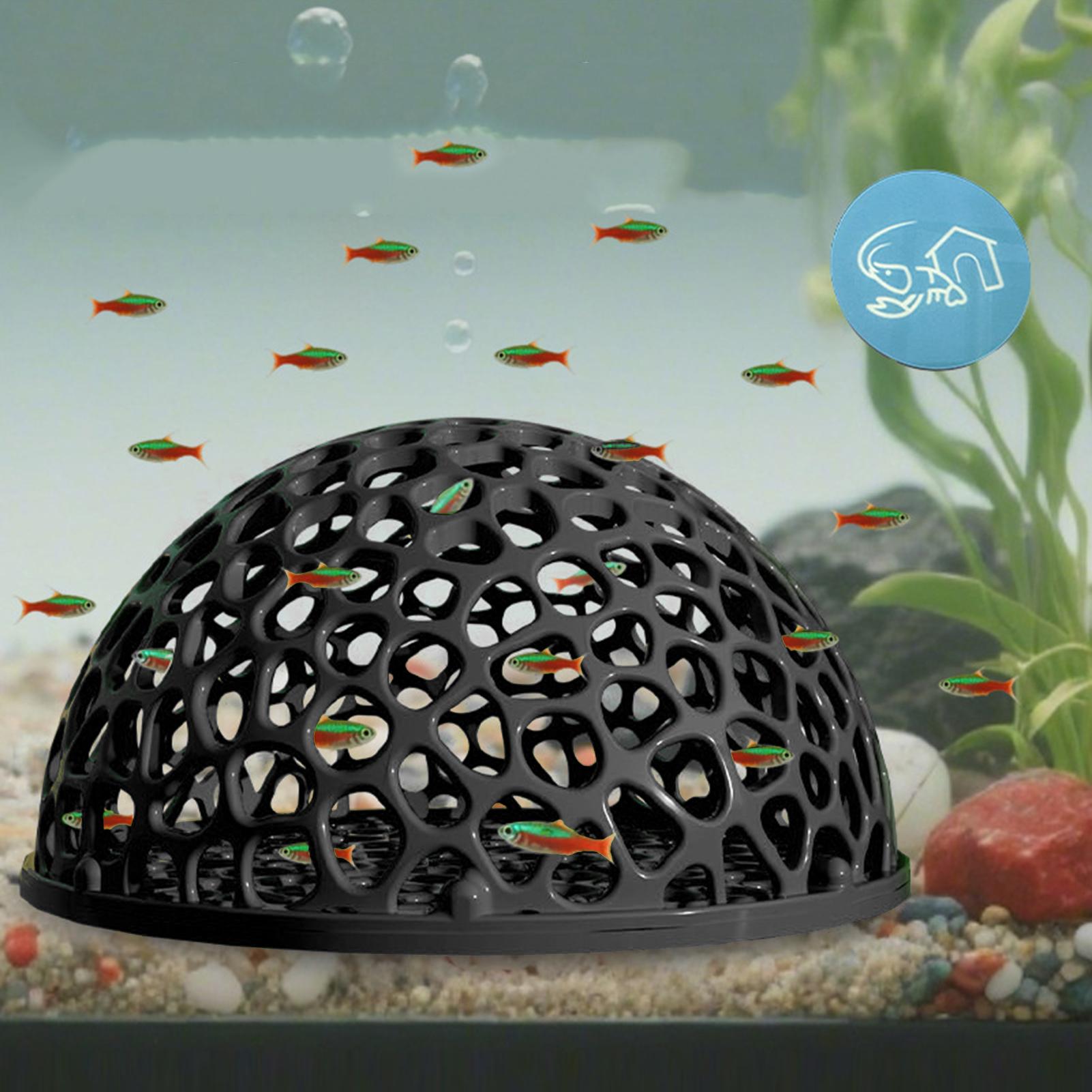 Aquarium Hiden Cave Shelter fo - Aquarium Plants Live 评论和价格
