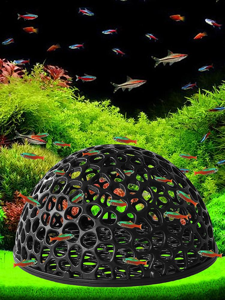 Aquarium Hiden Cave Shelter fo - Aquarium Plants Live 评论和价格