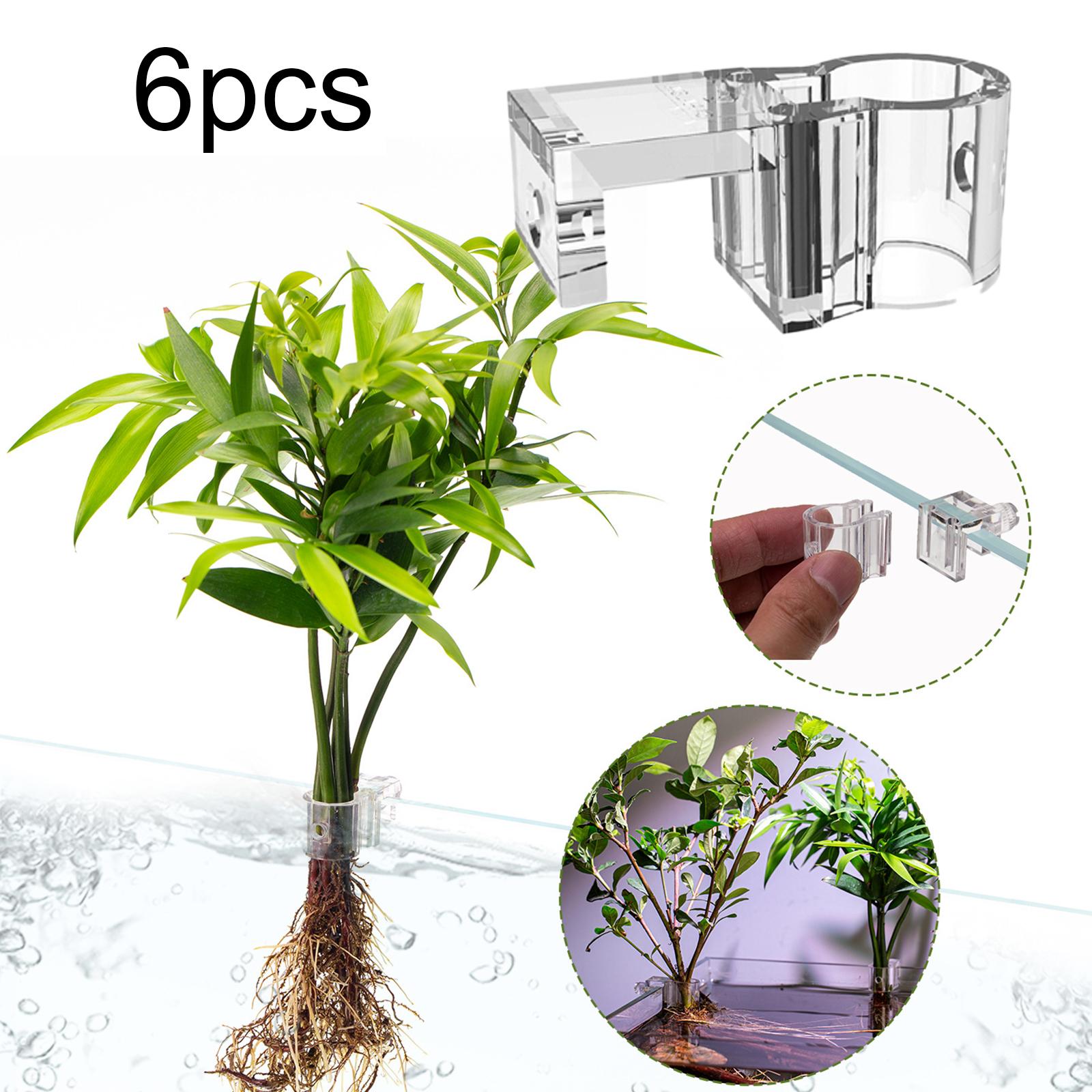 6Pcs Aquarium Plant Holder Sup - Aquarium Plants Live 评论和价格