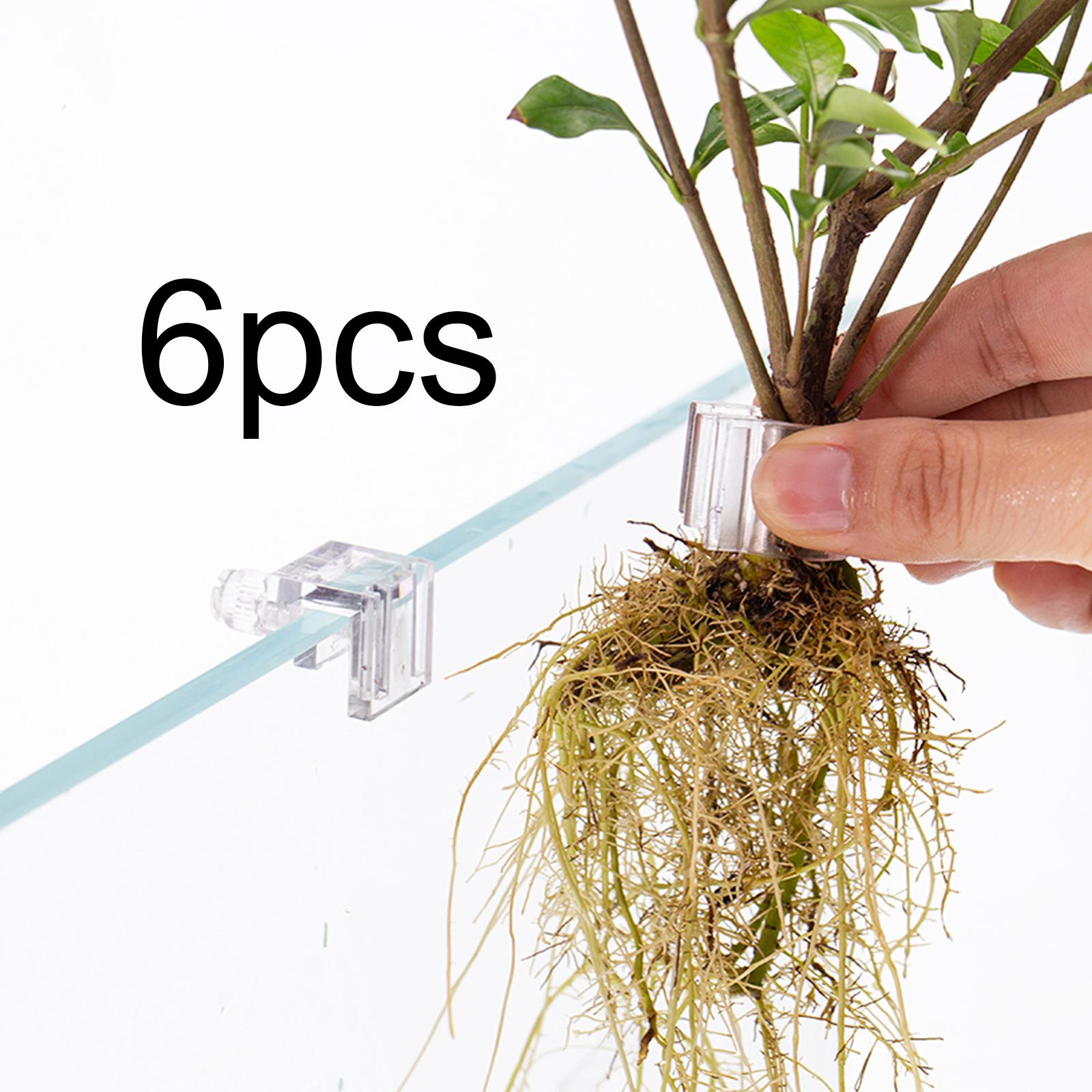 6Pcs Aquarium Plant Holder Sup - Aquarium Plants Live 评论和价格