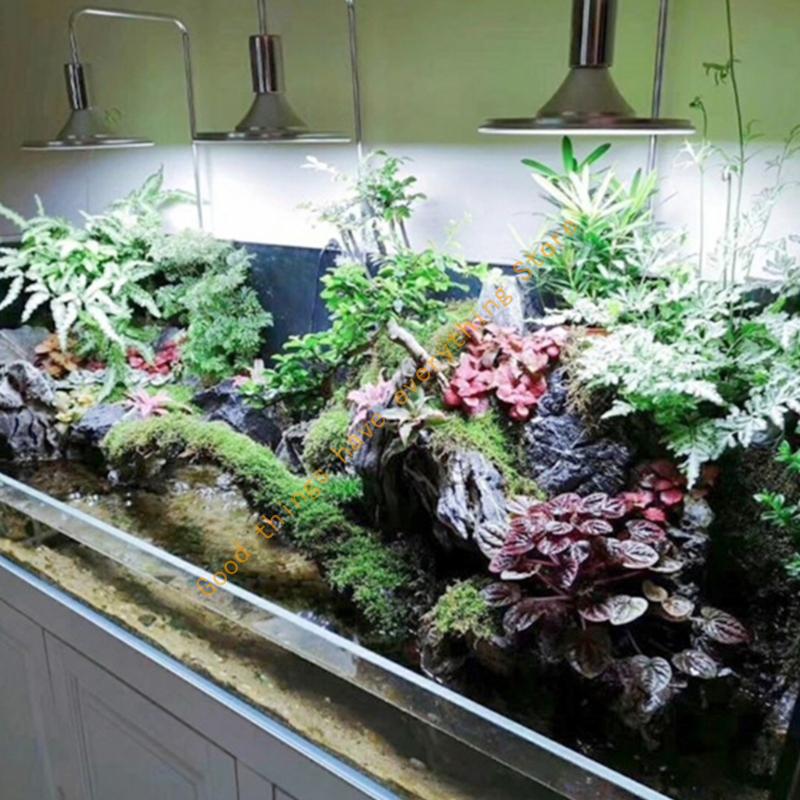 20/40W E27 Lamps Bulb Aquarium - Aquarium Plant Light 评论和价格