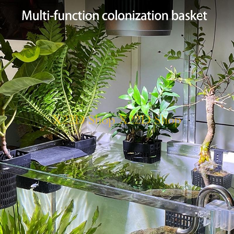 X22D Traditional Styles Vertic - Aquarium Plant Holder 评论和价格