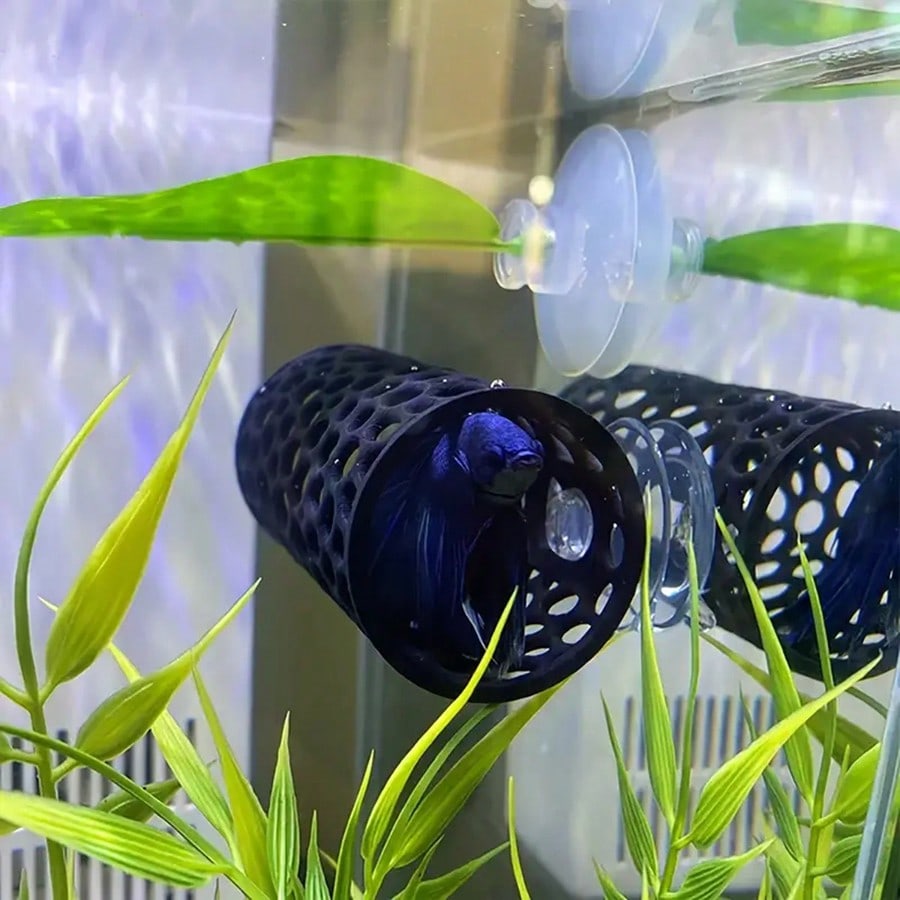 Betta Fish Hideout Hollow Tube - Aquarium Plants Live 评论和价格