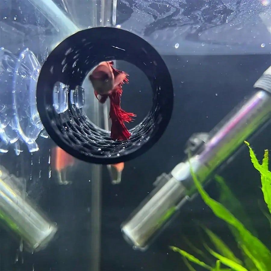 Betta Fish Hideout Hollow Tube - Aquarium Plants Live 评论和价格