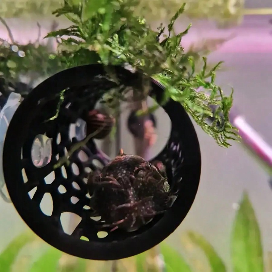 Betta Fish Hideout Hollow Tube - Aquarium Plants Live 评论和价格