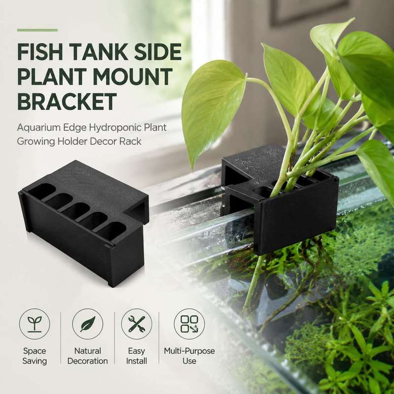 Fish Tank Side Plant Mount Bra - Aquarium Plant Holder 评论和价格