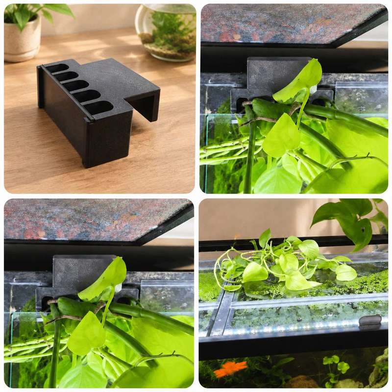Fish Tank Side Plant Mount Bra - Aquarium Plant Holder 评论和价格