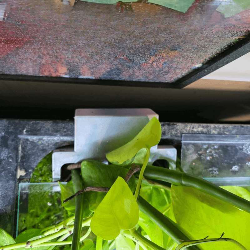 Fish Tank Side Plant Mount Bra - Aquarium Plant Holder 评论和价格