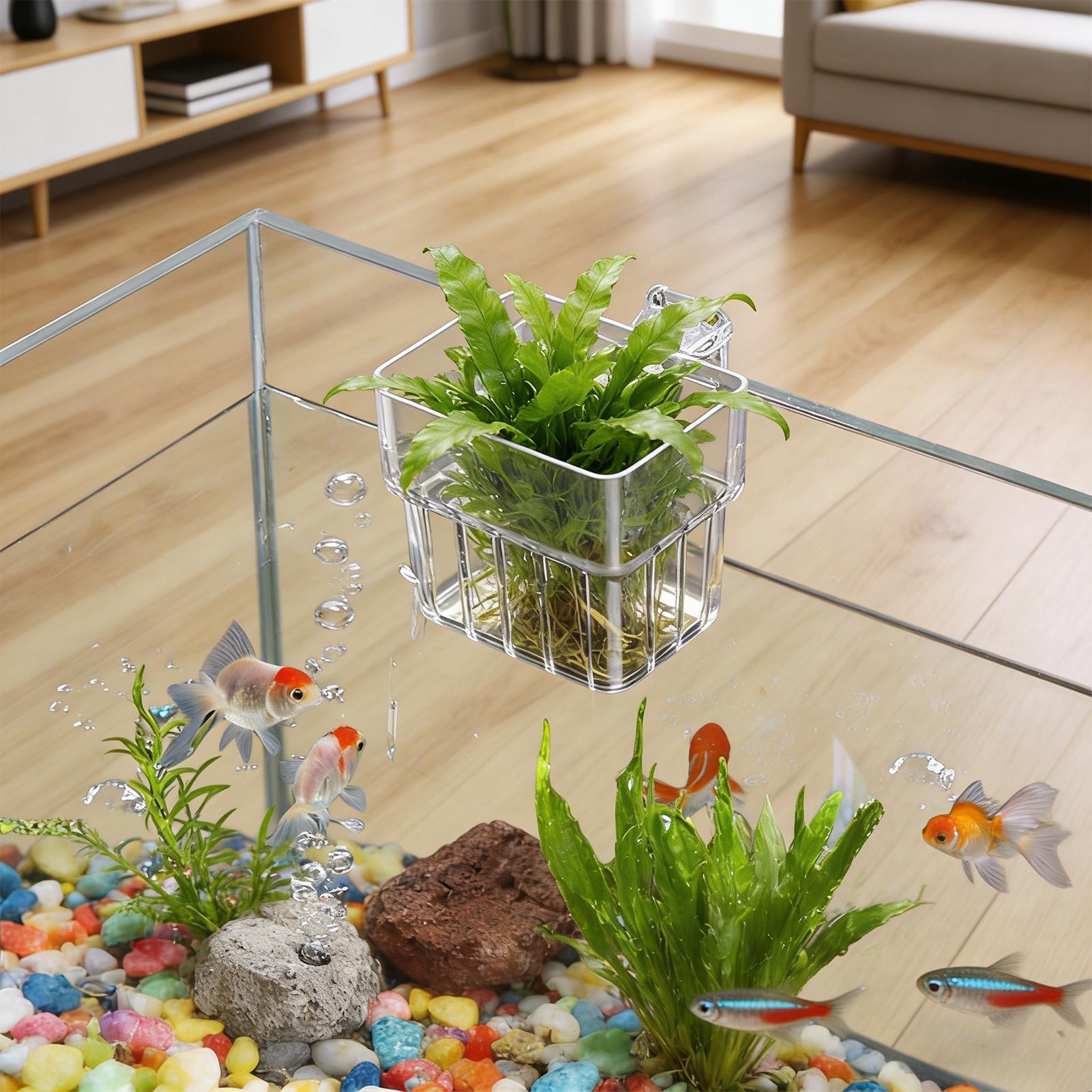 Transparent Hangable Aquarium  - Aquarium Plants Live 评论和价格