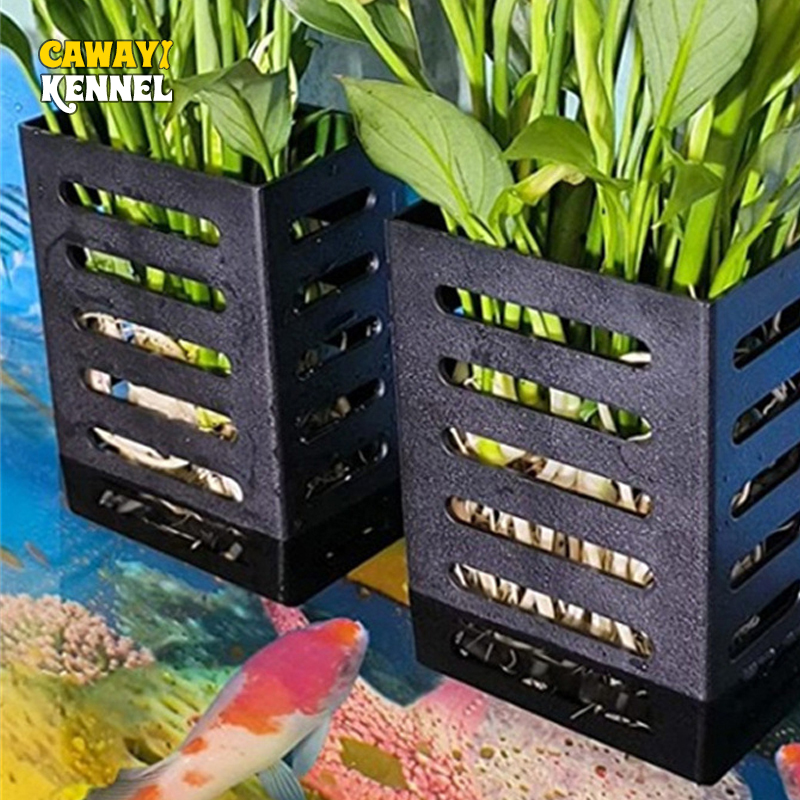 Pet Fish Tank Decorations Aqua - Aquarium Plants Live 评论和价格