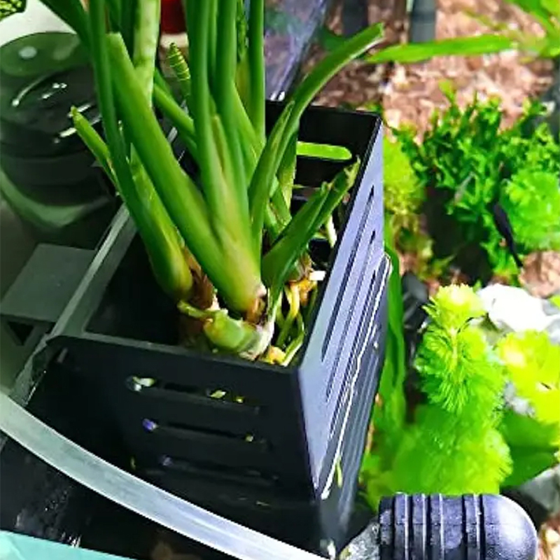 Pet Fish Tank Decorations Aqua - Aquarium Plants Live 评论和价格