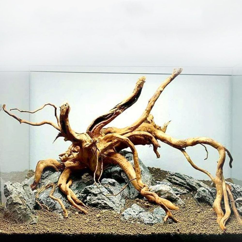 20-25CM Large Aquarium Driftwo - Aquarium Driftwood 评论和价格