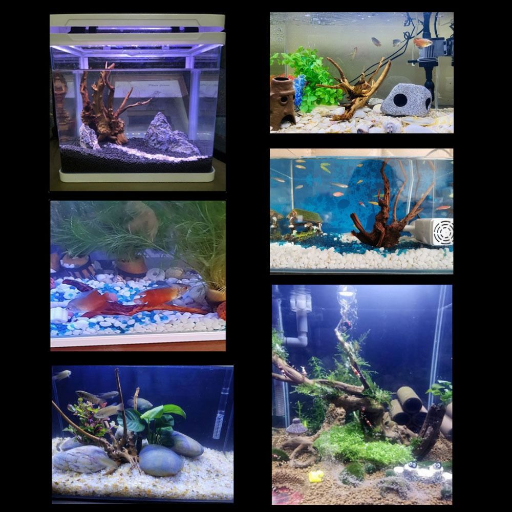20-25CM Large Aquarium Driftwo - Aquarium Driftwood 评论和价格