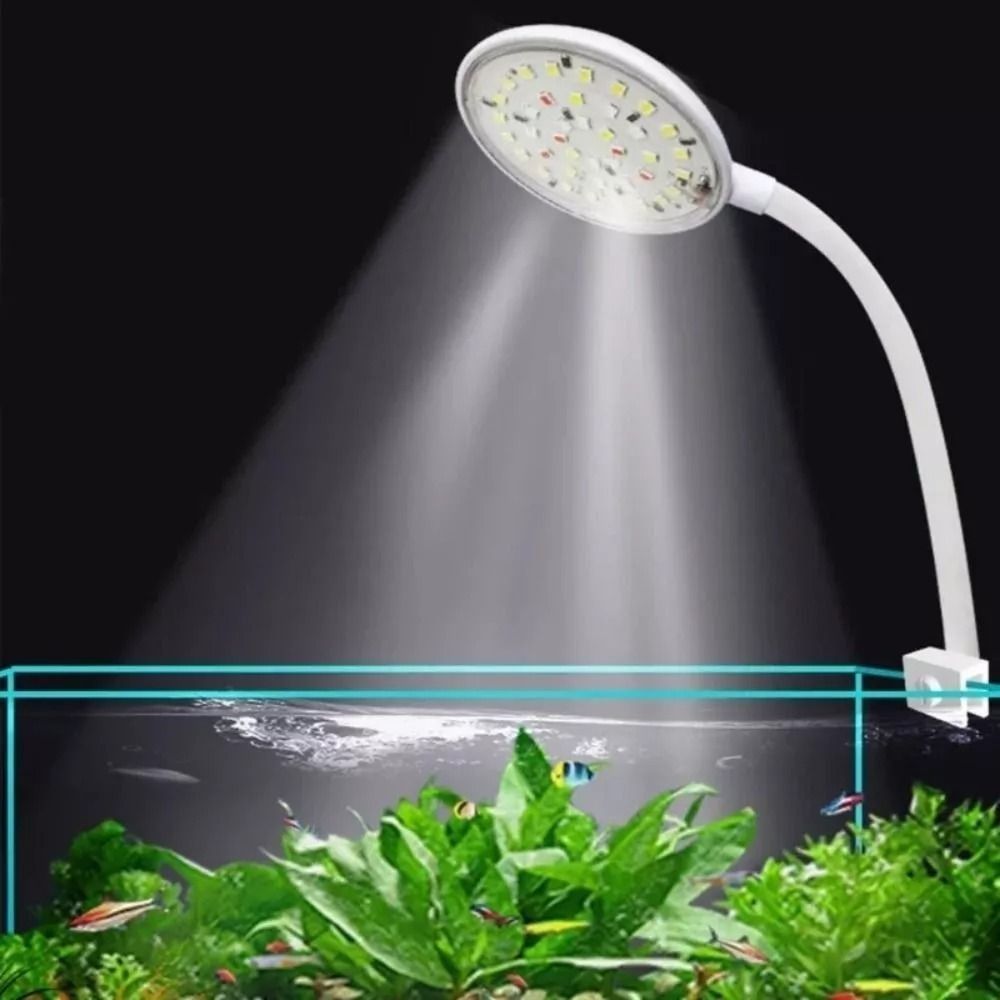 New Mini Fish Tank Clip Lamp 5 - Live Plant Aquarium 评论和价格