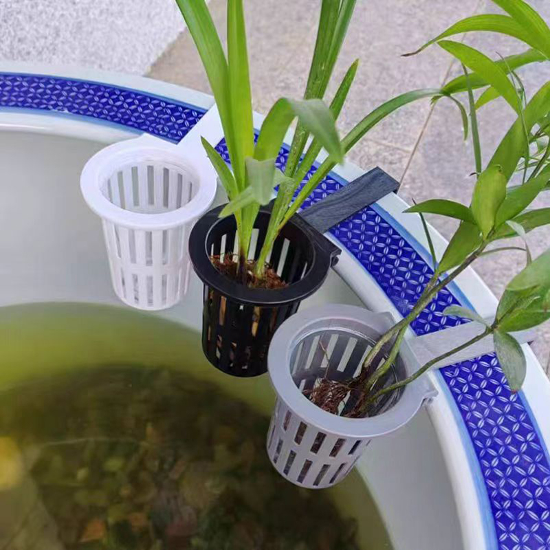 1/3Pcs Aquarium Plant Basket W - Aquarium Plants Live 评论和价格