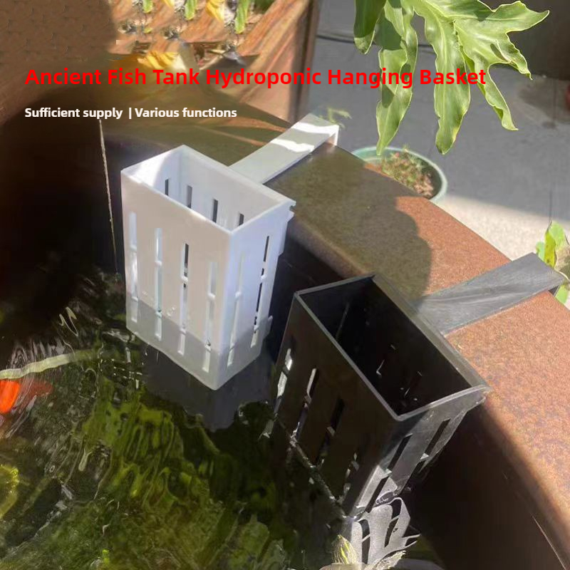 1/3Pcs Aquarium Plant Basket W - Aquarium Plants Live 评论和价格