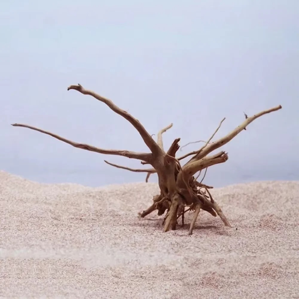 15-20CM Natural Driftwood Aqua - Aquarium Driftwood 评论和价格