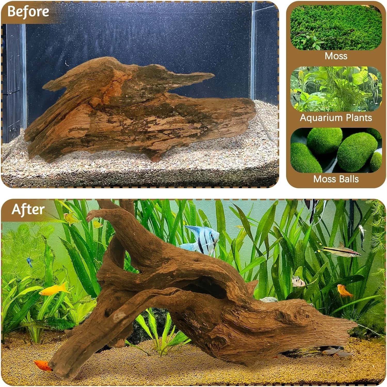 15-20CM 1Pc Natural Driftwood  - Aquarium Plants Live 评论和价格