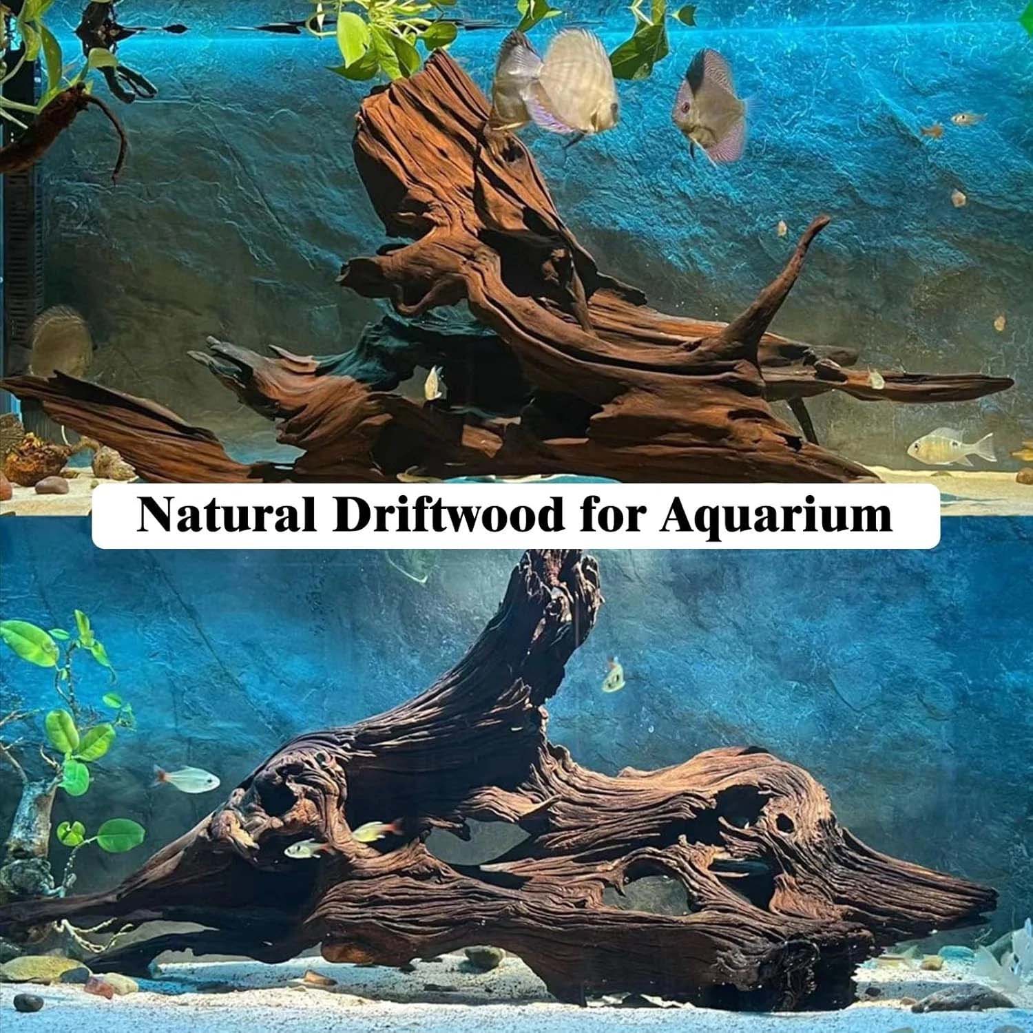 15-20CM 1Pc Natural Driftwood  - Aquarium Plants Live 评论和价格