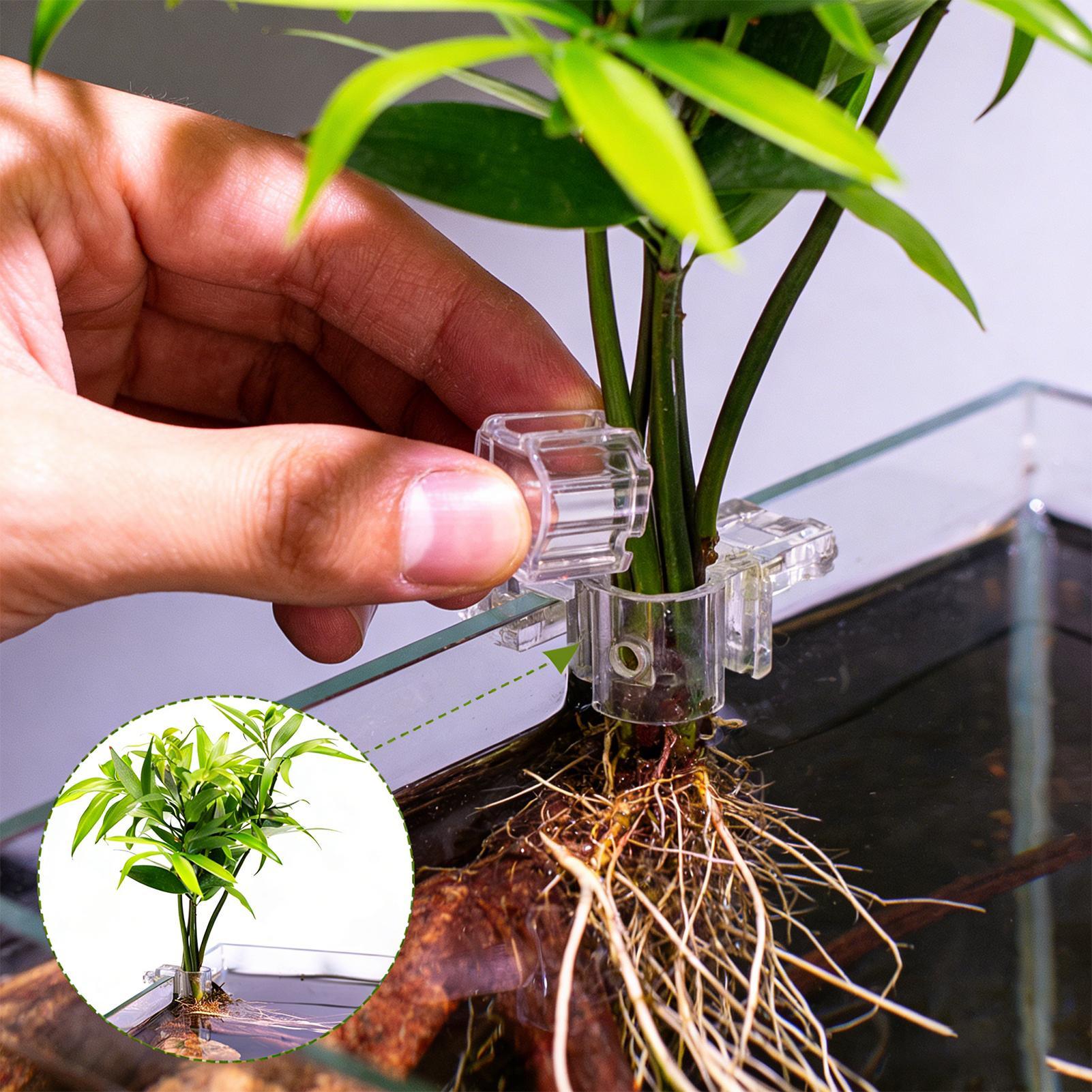 Fish Tank Plant Holder 6 Piece - Aquarium Plant Holder 评论和价格