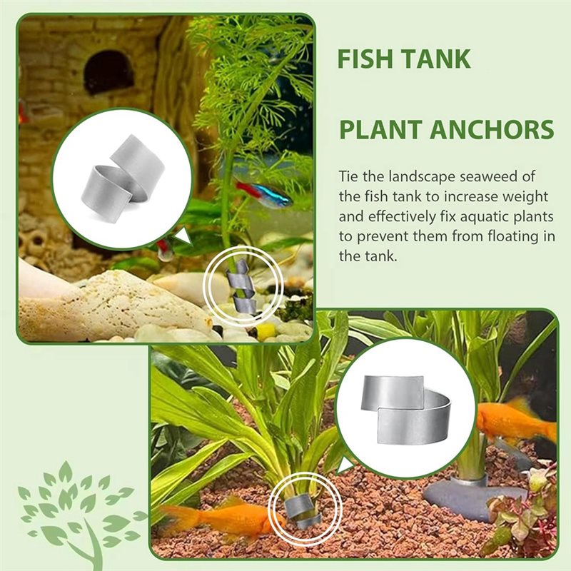 LLCS-Plant Fixed Ring Base For - Live Plant Aquarium 评论和价格