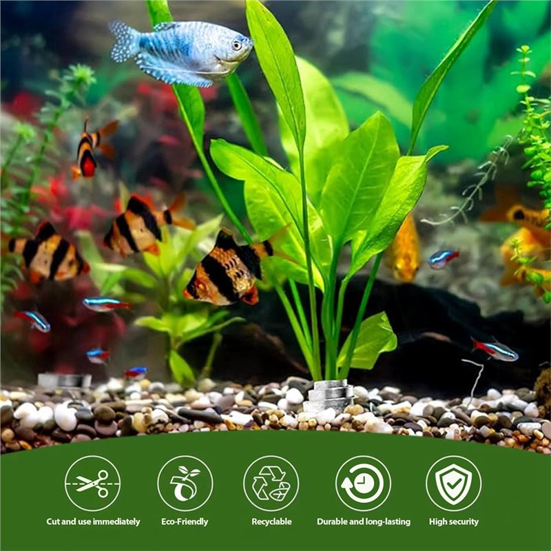 LLCS-Plant Fixed Ring Base For - Live Plant Aquarium 评论和价格