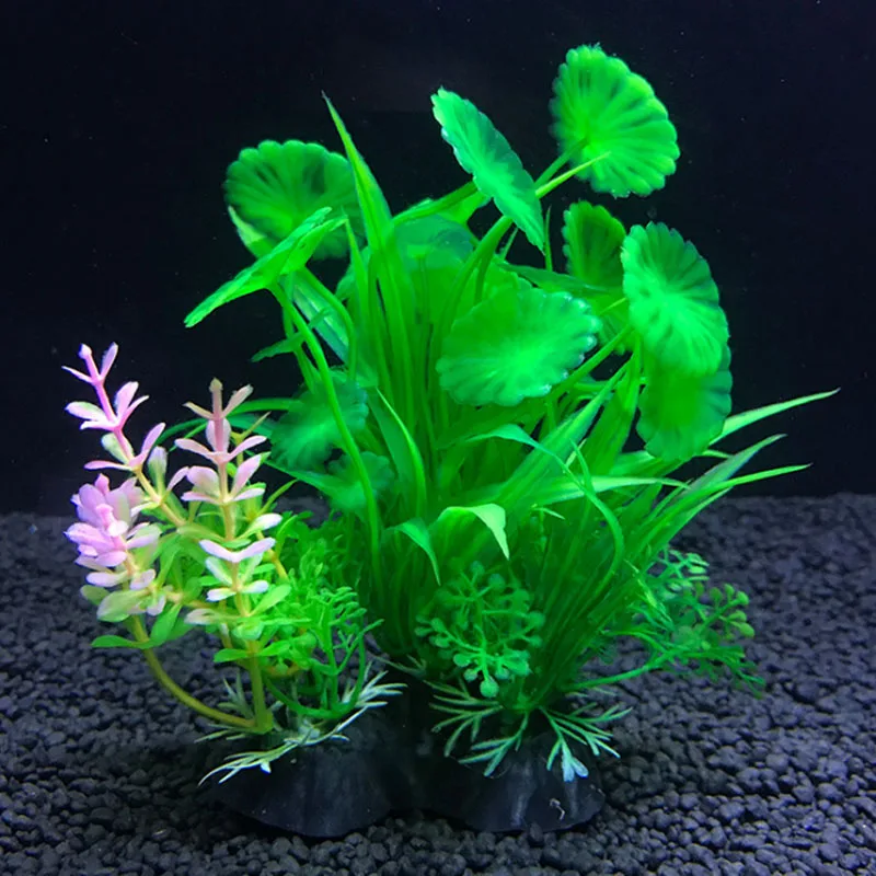 Aquarium Artificial Decor Plan - Live Plant Aquarium 评论和价格