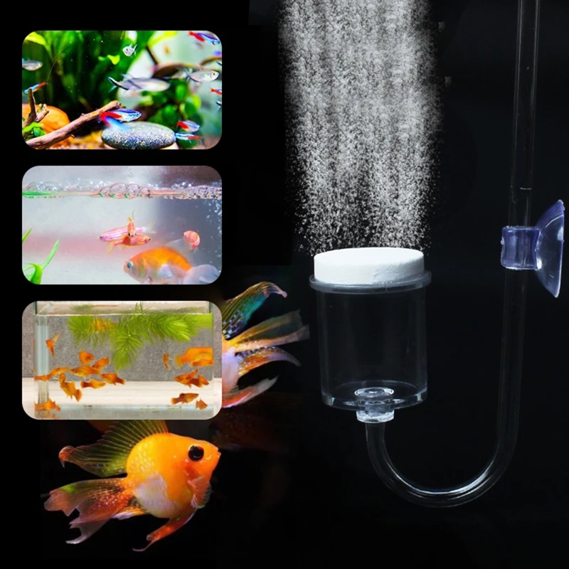 4pcs Set DIY CO2 Diffuser For  - Aquarium Plants Live 评论和价格